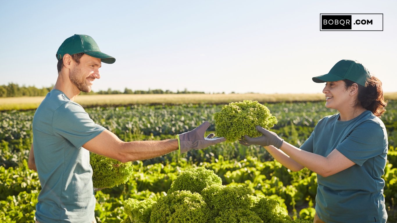 Fruit Farm Worker Jobs in Canada 2026