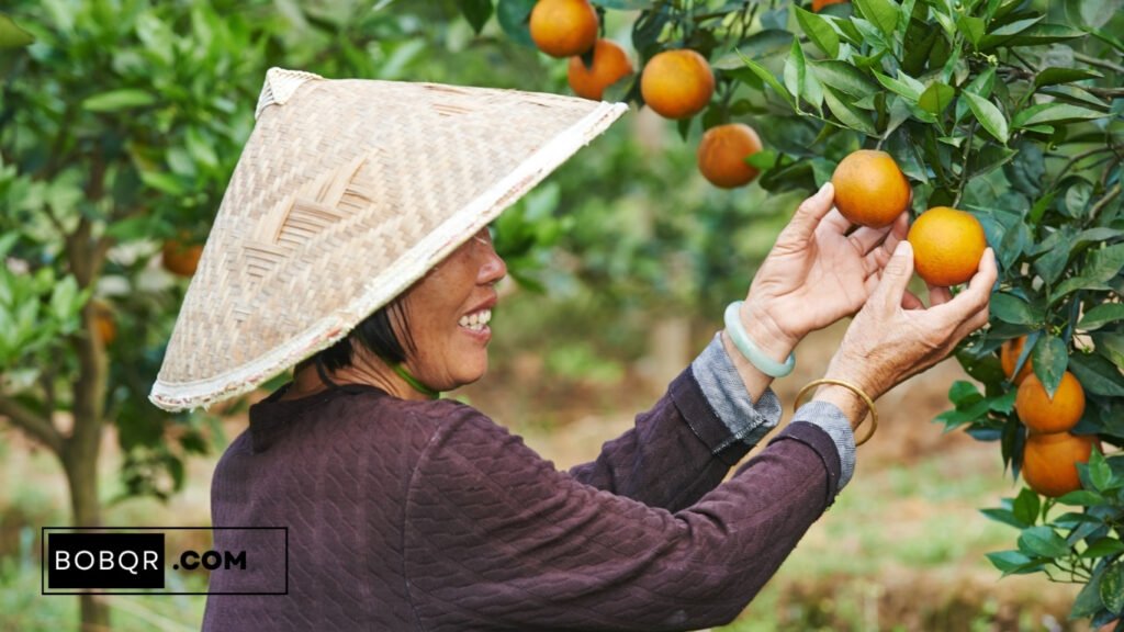 General Farm Worker Jobs in Italy